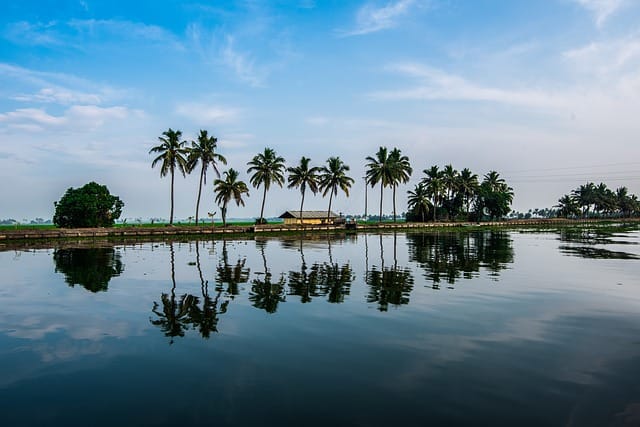 Backwater Kerala