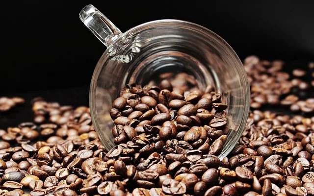 Coffee Bean