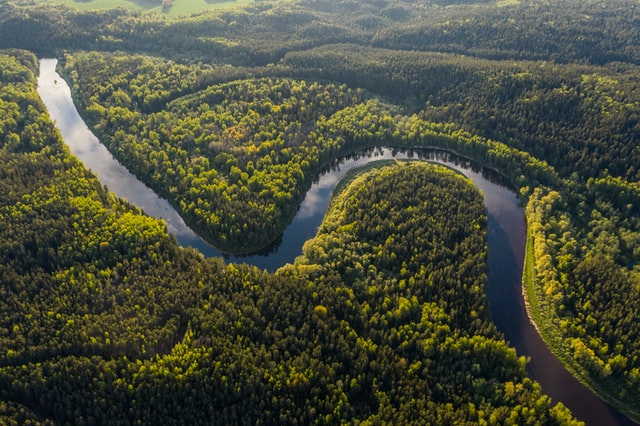 Read more about the article 10 World’s Longest Rivers