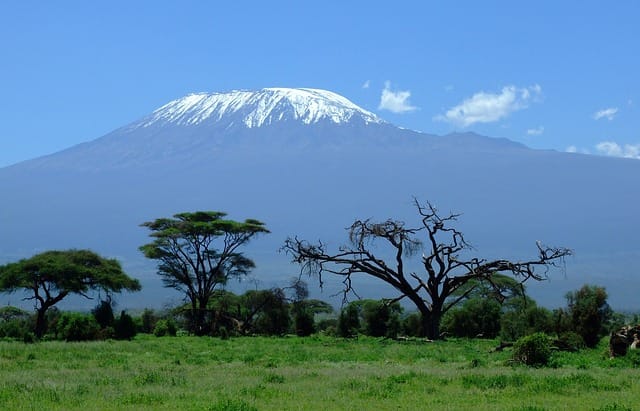 Read more about the article 20 Highest Mountains in Africa