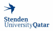 Stenden University & Institute