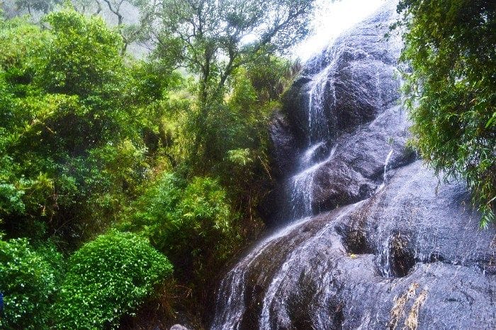 Bear shola falls