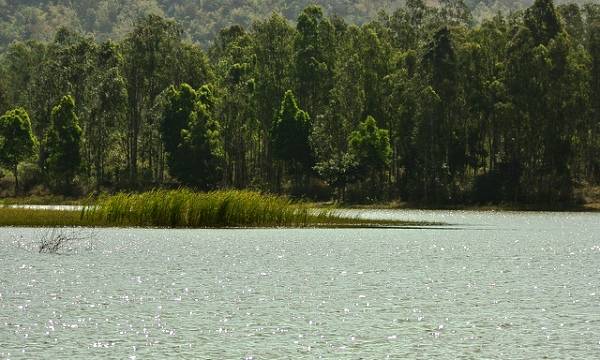 Thattekere Lake