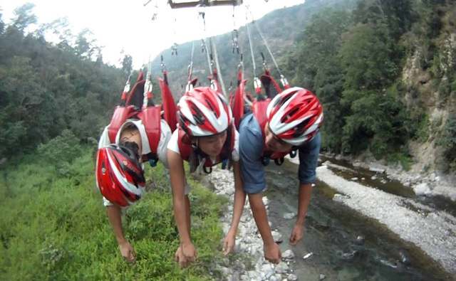Flying Fox Flying Fox