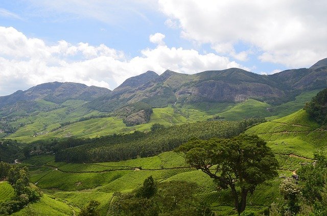 Read more about the article List of Hill Stations in Kerala