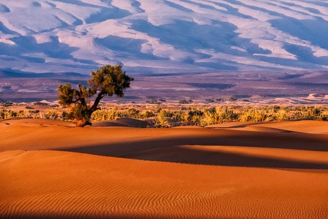 Read more about the article 10 World’s Largest Deserts (Cold and Hot)