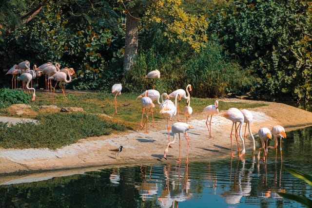 Read more about the article List of Parks and Zoos in Dubai