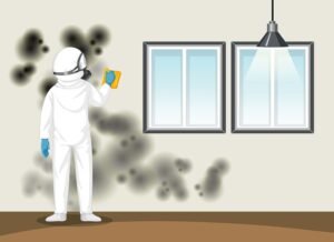 Read more about the article Mold Removal: 9 Best Tips and Tricks You Should Know
