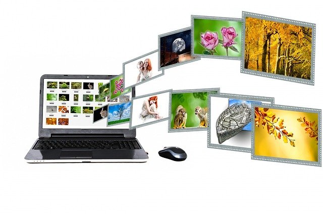 Read more about the article How to Use Reverse Image Search to Find High-Quality Pictures
