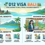d12 visa inforgraphy