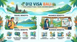 d12 visa inforgraphy
